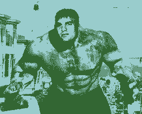 Mark Ruffalo as the Hulk